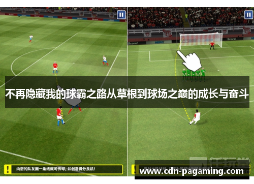 不再隐藏我的球霸之路从草根到球场之巅的成长与奋斗 不再隐藏我的球霸之路从草根到球场之巅的成长与奋斗