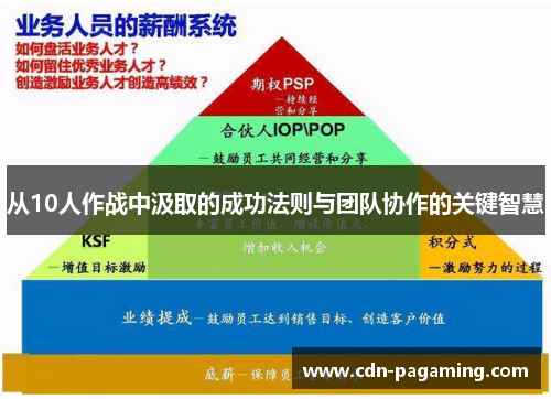 从10人作战中汲取的成功法则与团队协作的关键智慧 从10人作战中汲取的成功法则与团队协作的关键智慧