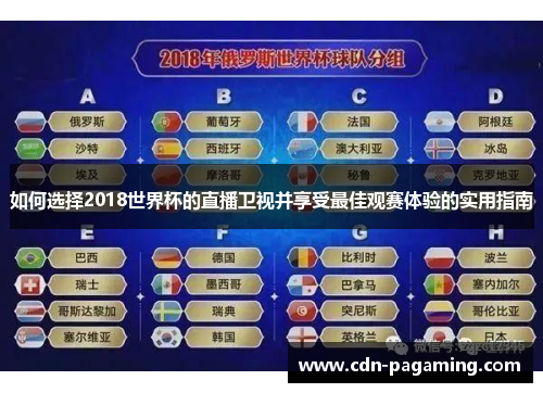 如何选择2018世界杯的直播卫视并享受最佳观赛体验的实用指南