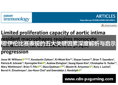 霍伊伦比赛表现的五大关键因素深度解析与启示