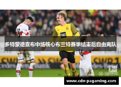 多特蒙德宣布中场核心布兰特赛季结束后自由离队